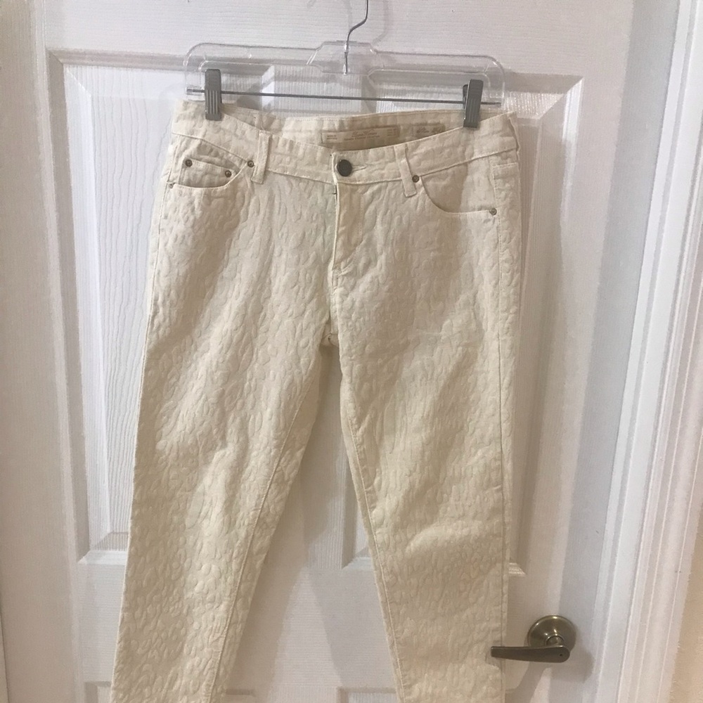 Zara Premium DenimWear Collection